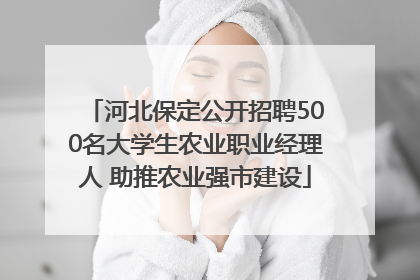 河北保定公开招聘500名大学生农业职业经理人 助推农业强市建设