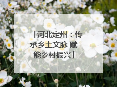 河北定州：传承乡土文脉 赋能乡村振兴