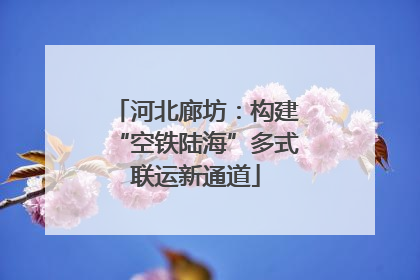 河北廊坊：构建“空铁陆海”多式联运新通道