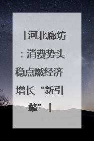 河北廊坊：消费势头稳点燃经济增长“新引擎”