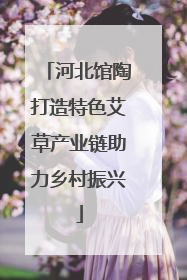 河北馆陶打造特色艾草产业链助力乡村振兴
