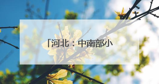 河北：中南部小麦生产区遭遇高温干热风考验