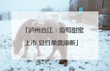 泸州合江：葡萄甜蜜上市 夏日果盘添新
