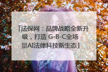 法保网：品牌战略全新升级，打造 G-B-C全场景AI法律科技新生态