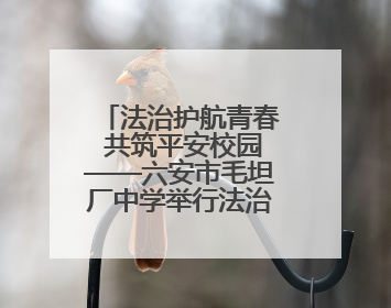法治护航青春 共筑平安校园——六安市毛坦厂中学举行法治教育讲座