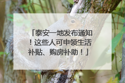 泰安一地发布通知！这些人可申领生活补贴、购房补助！