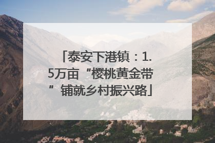 泰安下港镇：1.5万亩“樱桃黄金带”铺就乡村振兴路