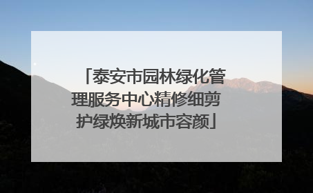 泰安市园林绿化管理服务中心精修细剪护绿焕新城市容颜