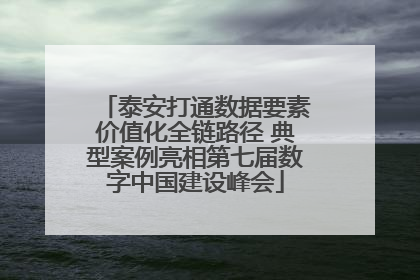 泰安打通数据要素价值化全链路径 典型案例亮相第七届数字中国建设峰会