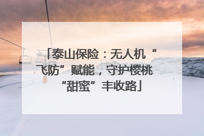 泰山保险：无人机“飞防”赋能，守护樱桃“甜蜜”丰收路