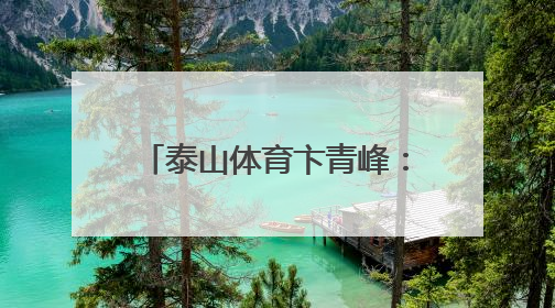 泰山体育卞青峰：推动高端竞技技术向全民健身装备转化，助力乡村振兴