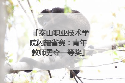 泰山职业技术学院闪耀省赛：青年教师勇夺一等奖