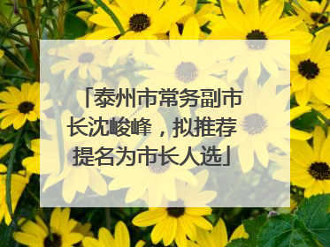 泰州市常务副市长沈峻峰，拟推荐提名为市长人选