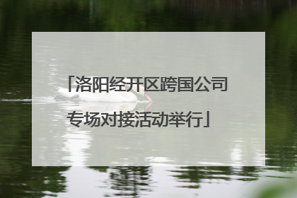 洛阳经开区跨国公司专场对接活动举行