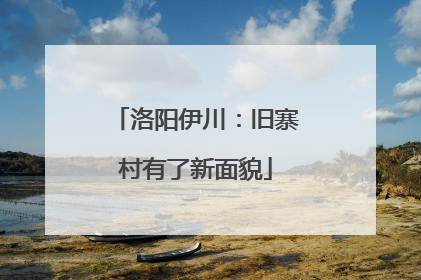 洛阳伊川：旧寨村有了新面貌