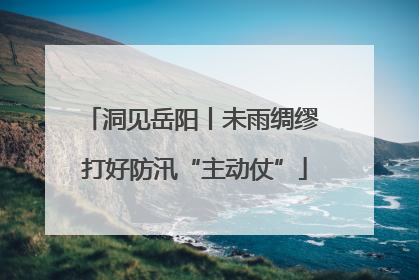 洞见岳阳丨未雨绸缪 打好防汛“主动仗”