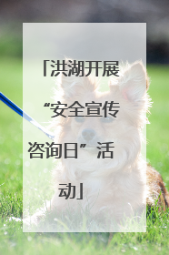 洪湖开展“安全宣传咨询日”活动