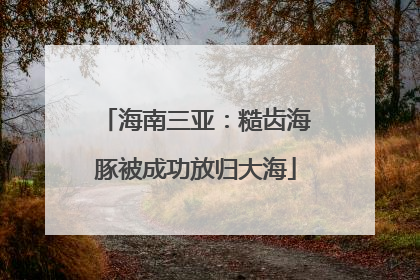 海南三亚：糙齿海豚被成功放归大海