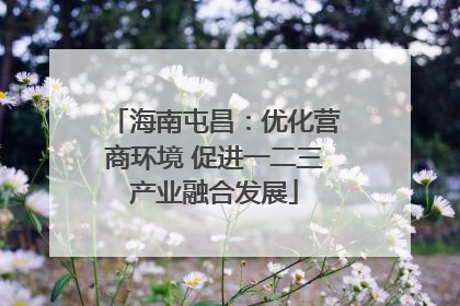 海南屯昌：优化营商环境 促进一二三产业融合发展