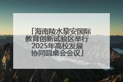 海南陵水黎安国际教育创新试验区举行2025年高校发展协同圆桌会会议