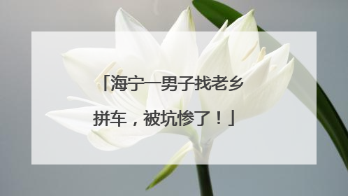 海宁一男子找老乡拼车，被坑惨了！