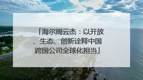 海尔周云杰：以开放、生态、创新诠释中国跨国公司全球化担当