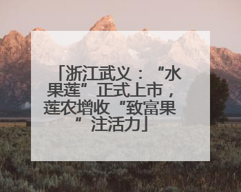 浙江武义：“水果莲”正式上市，莲农增收“致富果”注活力