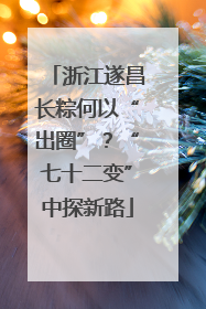 浙江遂昌长粽何以“出圈”？“七十二变”中探新路