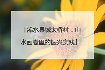 浠水县城太桥村：山水画卷里的振兴实践