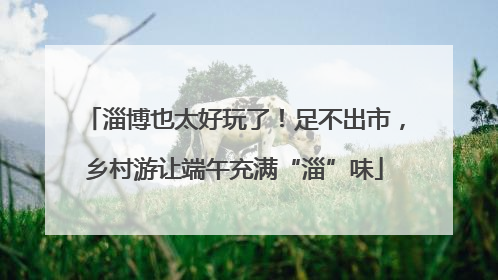 淄博也太好玩了！足不出市，乡村游让端午充满“淄”味