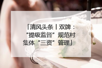 清风头条丨双牌：“提级监督”规范村集体“三资”管理