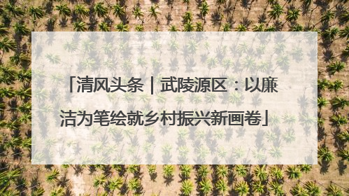 清风头条｜武陵源区：以廉洁为笔绘就乡村振兴新画卷