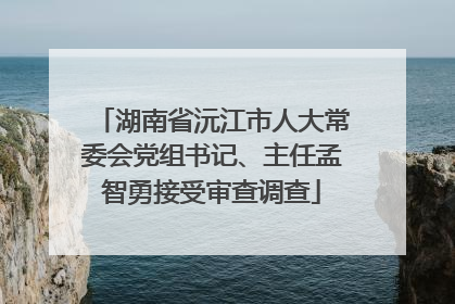 湖南省沅江市人大常委会党组书记、主任孟智勇接受审查调查