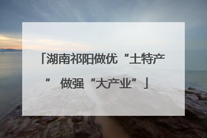 湖南祁阳做优“土特产” 做强“大产业”