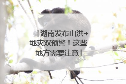 湖南发布山洪+地灾双预警！这些地方需要注意