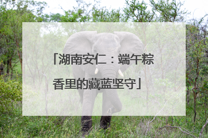 湖南安仁：端午粽香里的藏蓝坚守