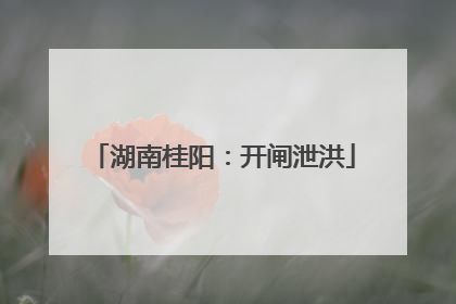 湖南桂阳：开闸泄洪