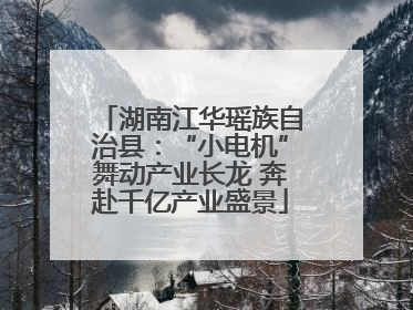 湖南江华瑶族自治县：“小电机”舞动产业长龙 奔赴千亿产业盛景
