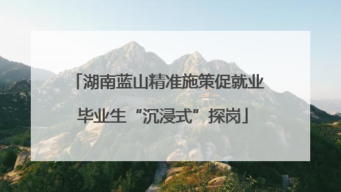 湖南蓝山精准施策促就业 毕业生“沉浸式”探岗