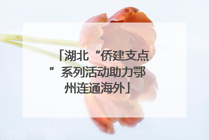 湖北“侨建支点”系列活动助力鄂州连通海外