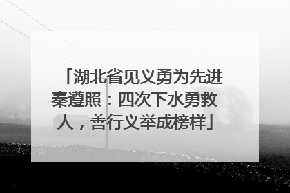 湖北省见义勇为先进秦遵照：四次下水勇救人，善行义举成榜样