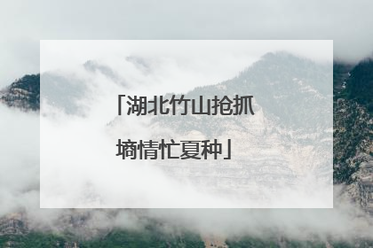 湖北竹山抢抓墒情忙夏种