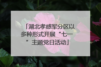 湖北孝感军分区以多种形式开展“七一”主题党日活动