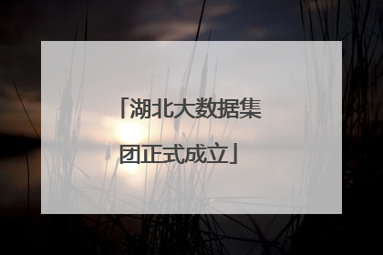 湖北大数据集团正式成立