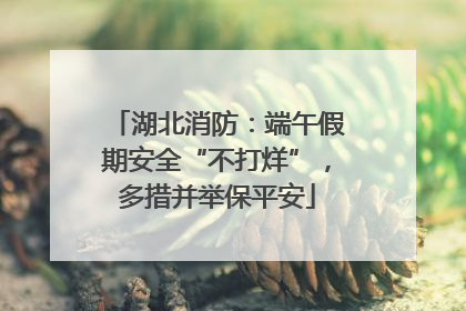 湖北消防：端午假期安全“不打烊”，多措并举保平安