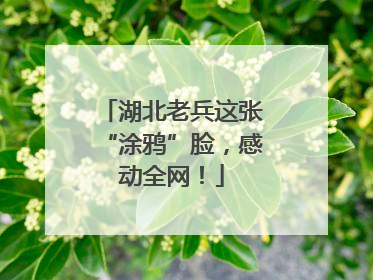 湖北老兵这张“涂鸦”脸，感动全网！