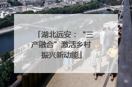 湖北远安：“三产融合”激活乡村振兴新动能
