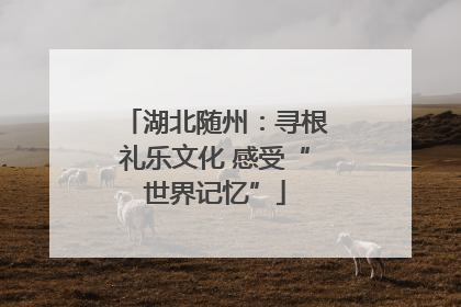 湖北随州：寻根礼乐文化 感受“世界记忆”