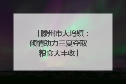 滕州市大坞镇：倾情助力三夏夺取粮食大丰收