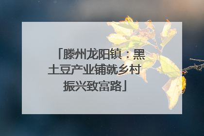 滕州龙阳镇：黑土豆产业铺就乡村振兴致富路